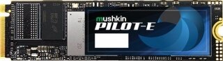 Mushkin Pilot-E 256 GB (MKNSSDPE256GB-D8) SSD kullananlar yorumlar
